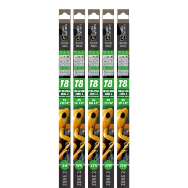 T8 Zone 2 Lampe